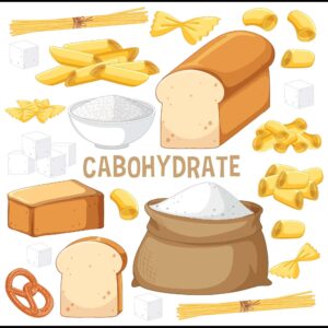 آیا کربوهیدرات‌ها واقعا باعث چاقی می‌شوند؟ (افشای حقیقت)